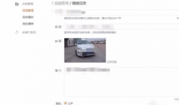 视频审核,守护网络清朗空间的守护者